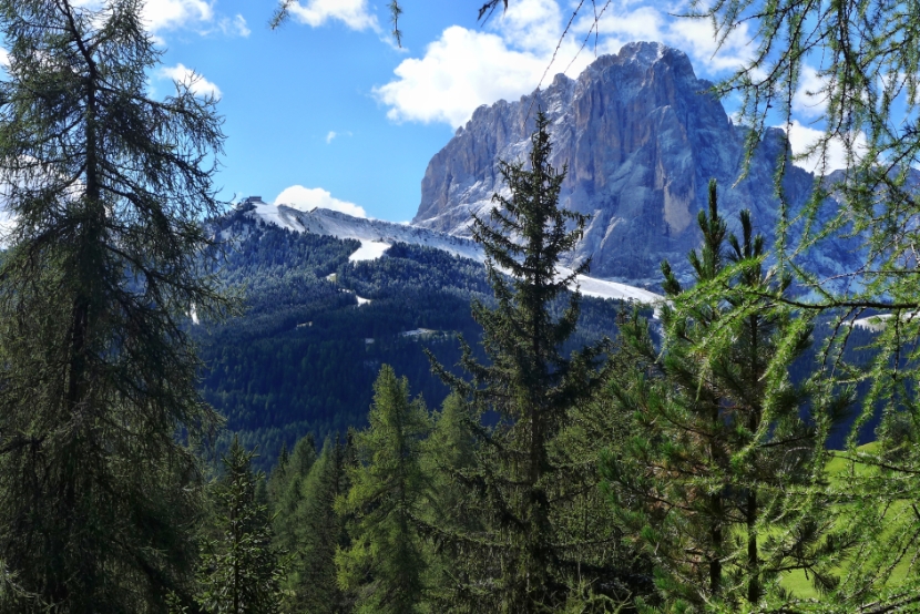 Langkofel hinter Ciampinoi