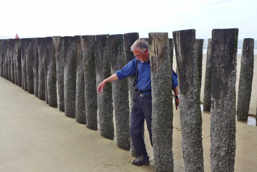 Strandspaziergang bei Vlissingen