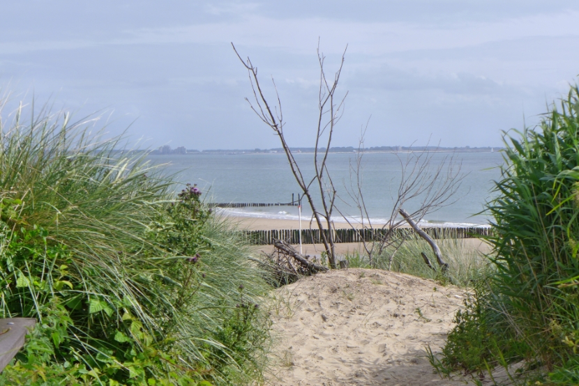 Strandspaziergang bei Vlissingen