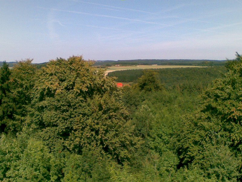 Aussicht vom Turm Waldgreuth